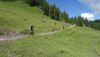 B05 DSC06038 Web